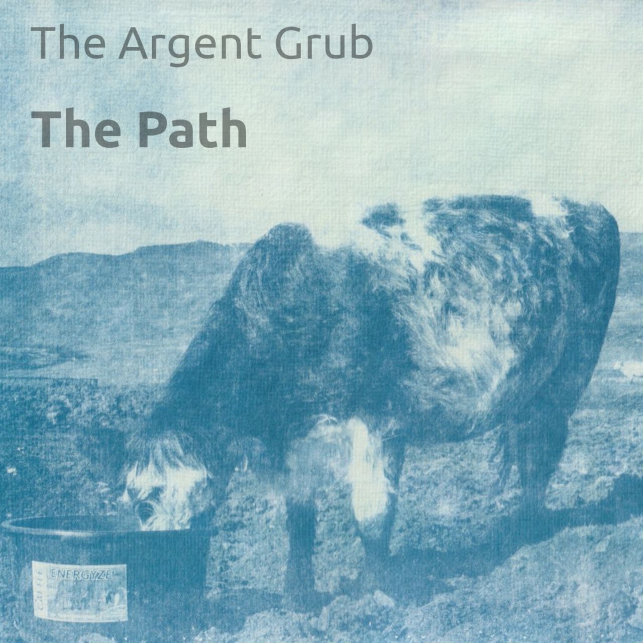 A cow on the Isle of Skye - (From Untitled Cyanotype by Louie Haslam)